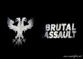 178_brutal-assault